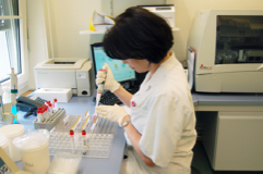Biomedizinische/r Analytiker/in, Bachelor oder dipl.