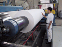 Papiertechniker/in