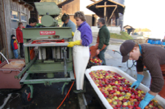 Agrartechniker/in