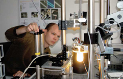 Bachelor of Engineering, Allgemein (Übersicht)