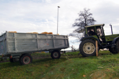 Fachkraft Agrarservice