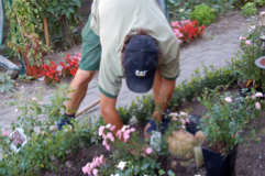 Gartenbauhelfer/in