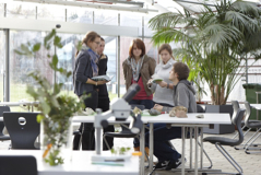 Umweltschutz/Umwelttechnik, Bachelor of Engineering