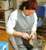 Schuhmacher/in