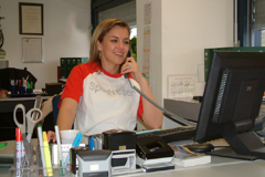 Spedition, Transport und Logistik, Bachelor of Arts