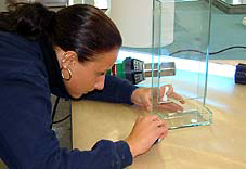 Techniker/in – Glastechnik (Glasgestaltung)
