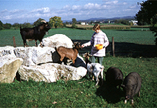 Tierwirt/in